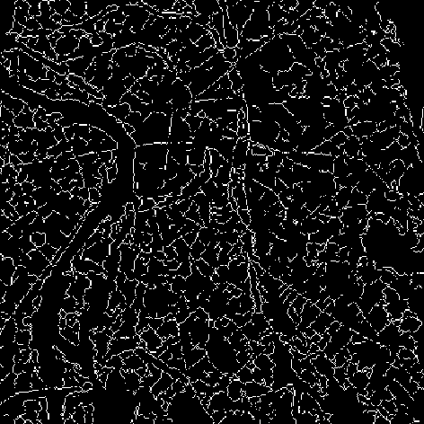 \begin{figure}\begin{center}\epsfysize=10cm\epsfbox{/home/pocquet/LEONARDO/PIERRE/PIERRE3/PRN/fig9.ps}\end{center}\end{figure}