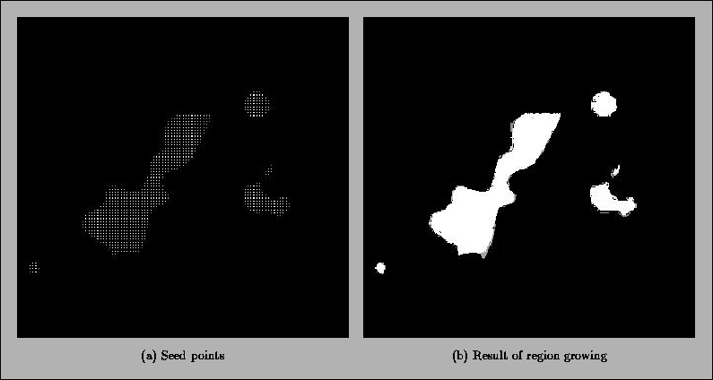 \begin{figure}\begin{center}\epsfysize=9cm\epsfbox{/home/pocquet/LEONARDO/REGIS/ramee-seed-rgrowing.eps}\end{center}\end{figure}