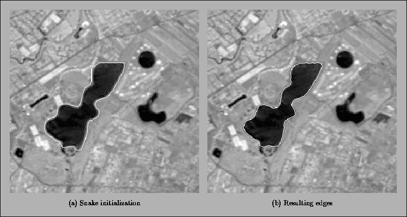 \begin{figure}\begin{center}\epsfysize= 9cm\epsfbox{/home/pocquet/LEONARDO/REGIS/ramee-snake-init-edges.eps}\end{center}\end{figure}